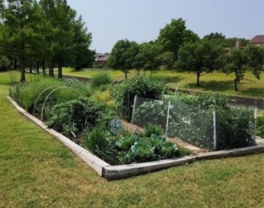 2908 Shady Lake Circle - Photo Thumbnail 27