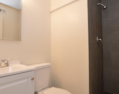 6044 N 21st Avenue - Photo Thumbnail 14