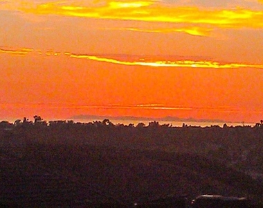 3111 Skyline - Photo Thumbnail 7