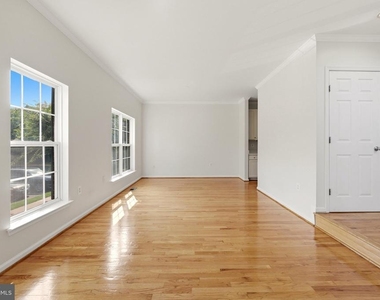 45805 Marlane Terrace - Photo Thumbnail 20