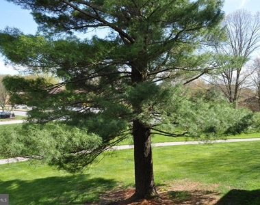 6091 Majors Lane - Photo Thumbnail 14