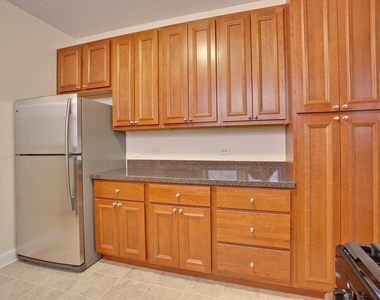 5419 S Hyde Park Boulevard - Photo Thumbnail 8