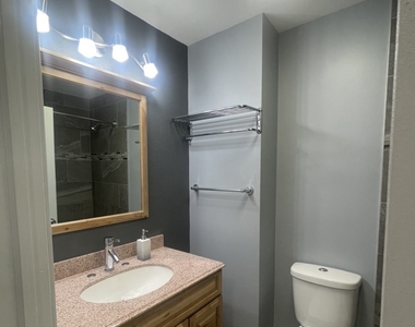 1202 Spur Court - Photo Thumbnail 14