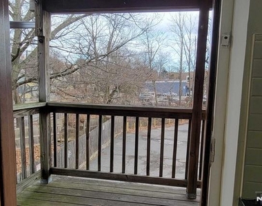117 Forest - Photo Thumbnail 5