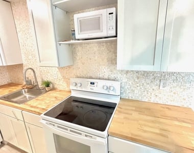 925 Palm Springs Boulevard - Photo Thumbnail 10
