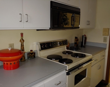 816 Greenwood Manor Circle - Photo Thumbnail 57