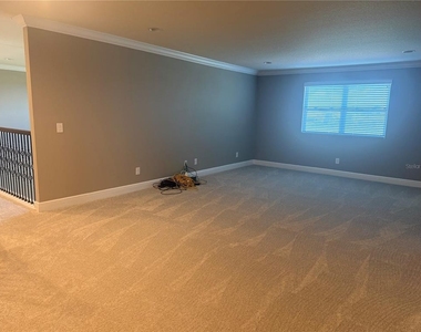 3128 Amalfi Drive - Photo Thumbnail 19
