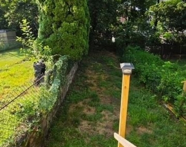 509 Arch Street - Photo Thumbnail 12