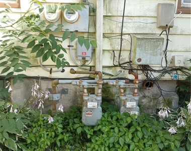 410 Linden Place - Photo Thumbnail 26