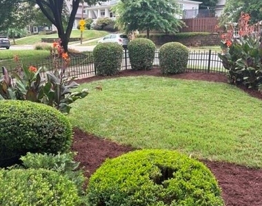701 Mcdonald Avenue - Photo Thumbnail 45
