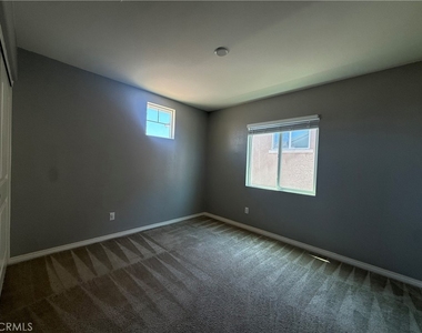 26055 Plumcot - Photo Thumbnail 15