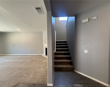 26055 Plumcot - Photo Thumbnail 8