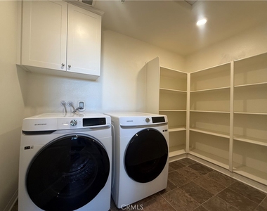 26055 Plumcot - Photo Thumbnail 16