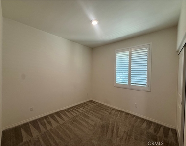 26055 Plumcot - Photo Thumbnail 5