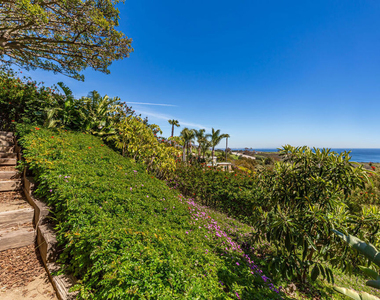 24630 Blue Dane Lane - Photo Thumbnail 27