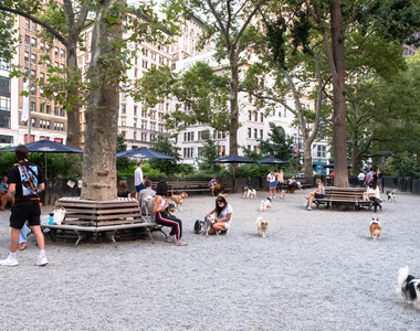 50 East 28th Street - Photo Thumbnail 36