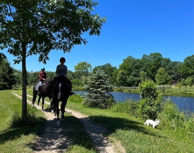 718 River Road - Photo Thumbnail 44