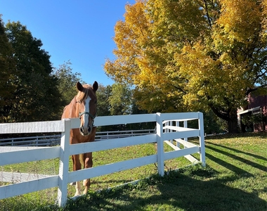 718 River Road - Photo Thumbnail 47