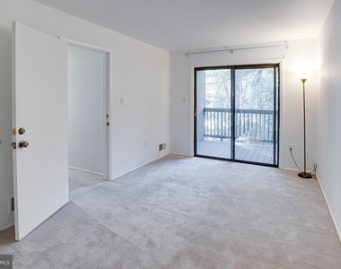 12303 Mulberry Court - Photo Thumbnail 54