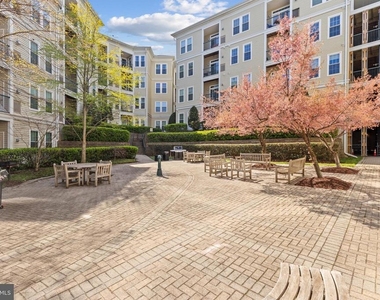 2465 Army Navy Drive - Photo Thumbnail 29