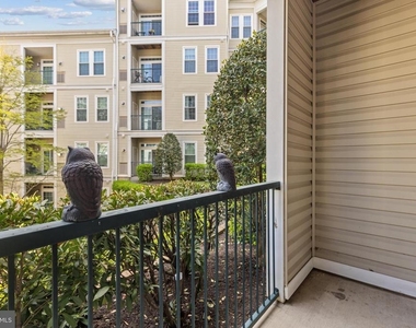 2465 Army Navy Drive - Photo Thumbnail 13