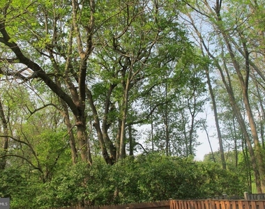 17407 Gallagher Way - Photo Thumbnail 25