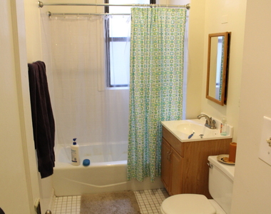 5436 S Harper Avenue - Photo Thumbnail 4