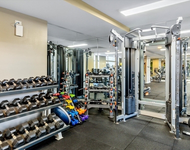 530 N Lake Shore Drive - Photo Thumbnail 4