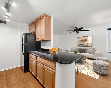 1339 N Dearborn Street - Photo Thumbnail 4