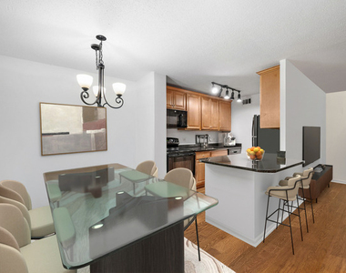 1339 N Dearborn Street - Photo Thumbnail 3