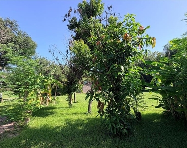 4712 Mapletree Loop - Photo Thumbnail 29