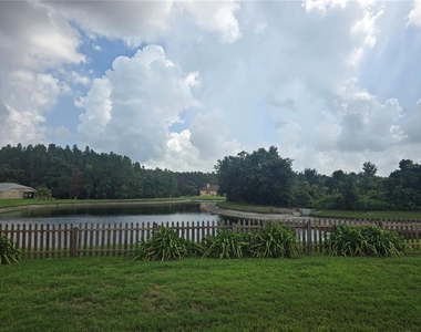 31125 Hannigan Place - Photo Thumbnail 19