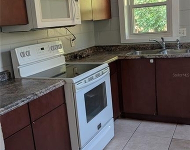 738 E Minneola Avenue - Photo Thumbnail 8