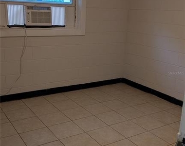 738 E Minneola Avenue - Photo Thumbnail 13