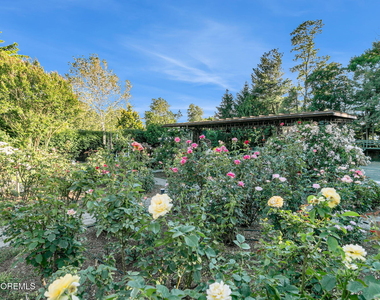 22 Oakes Road - Photo Thumbnail 27