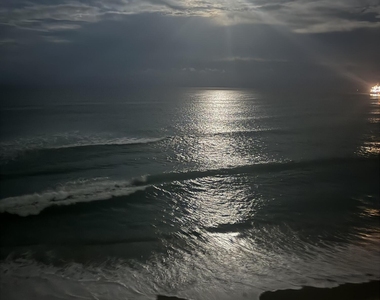 5460 N Ocean Drive - Photo Thumbnail 33