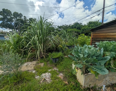 625 Coconut Avenue N - Photo Thumbnail 38