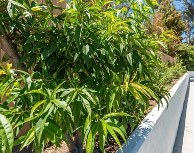 12831 Isocoma Street - Photo Thumbnail 41