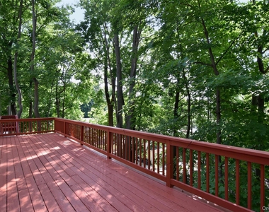 32 Springwood Avenue - Photo Thumbnail 18