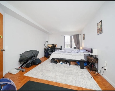 337 W 43rd Street - Photo Thumbnail 15