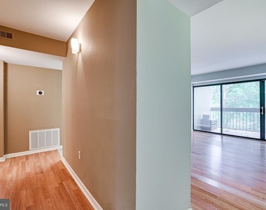 2210 Springwood Drive - Photo Thumbnail 5