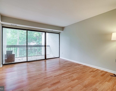 2210 Springwood Drive - Photo Thumbnail 8
