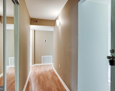 2210 Springwood Drive - Photo Thumbnail 4