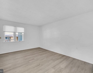 16 Sycamore Road - Photo Thumbnail 9