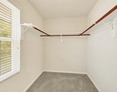 29467 Iris Bloom Court - Photo Thumbnail 29