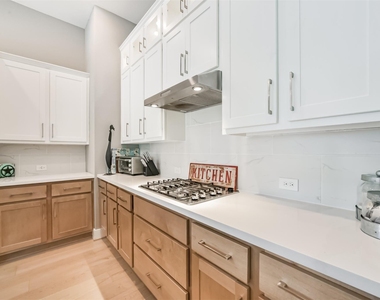 16911 Lupine Meadow Lane - Photo Thumbnail 15