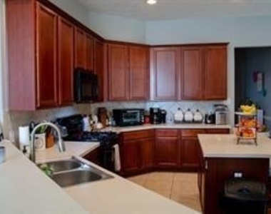 15010 Wildberry Creek Court - Photo Thumbnail 12