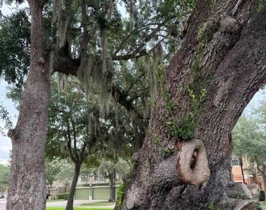 1470 Broken Oak Drive - Photo Thumbnail 58