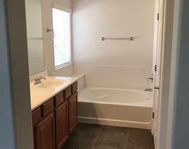 5244 W Maya Way W - Photo Thumbnail 14
