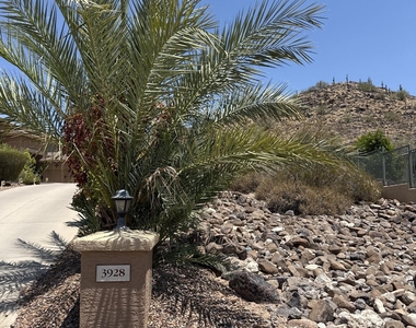 3928 W Range Mule Drive - Photo Thumbnail 3